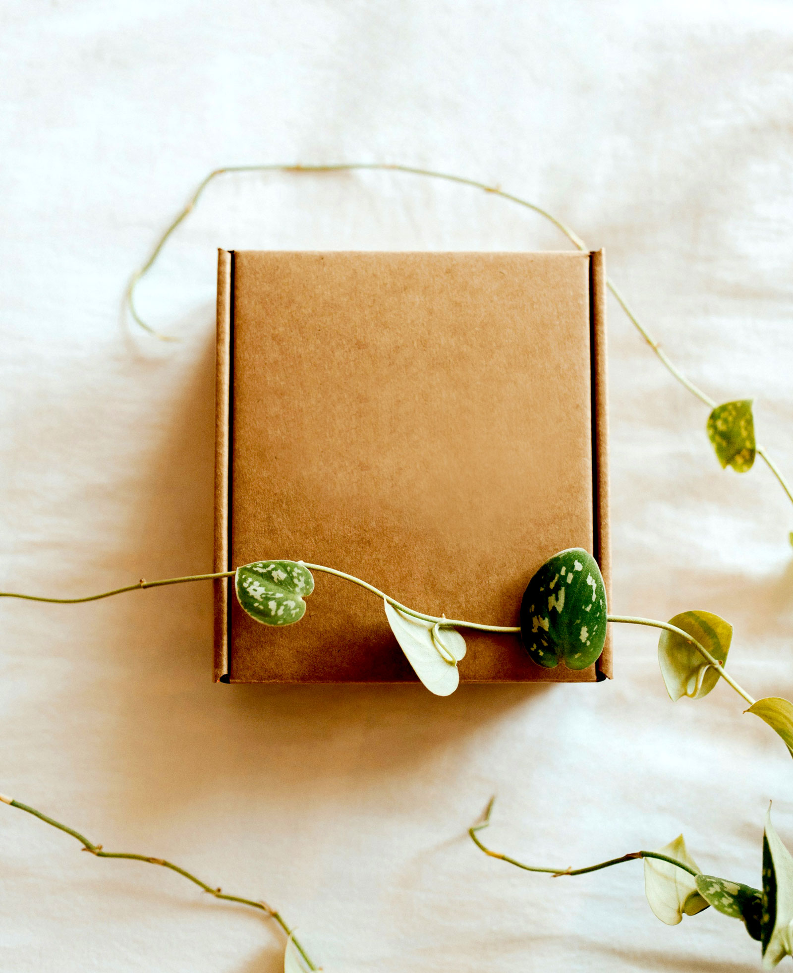 sustainable packaging the future of packaging is green